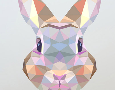 Conejo-Poligonal Conejo-Poligonal