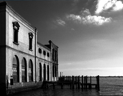 ARCHITETTURE 2012, Venezia