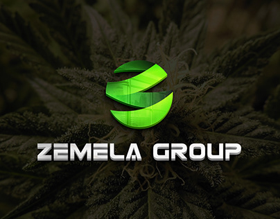 Logo and user interface for Zemela Group