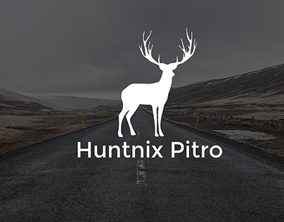 Huntnix Pitro Logo Design