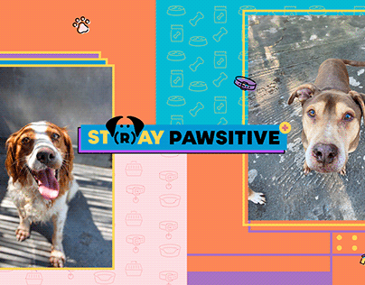 Stray Pawsitive