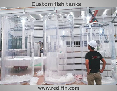 Unleash Your Creativity with Custom Fish Tanks