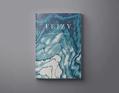 Feizy 2018 Catalog