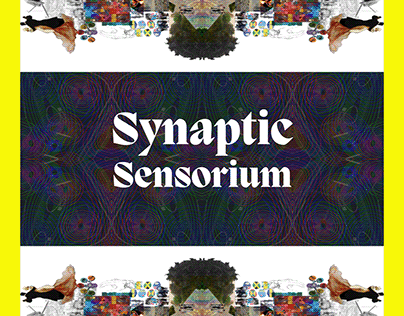 Synaptic Sensorium