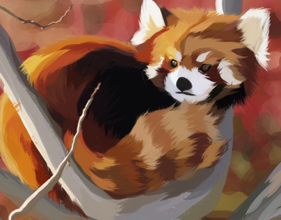 Red panda