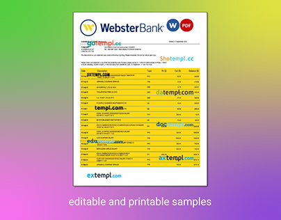 Webster Bank business statement Word and PDF template
