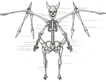Human Distortion Skeleton