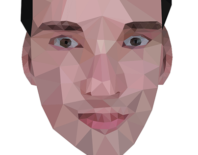Low Poly Face