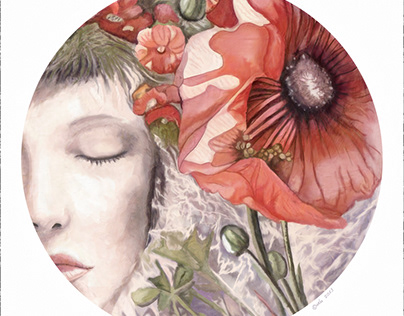 Poppy flower dreamworld illustration