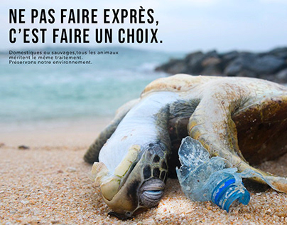 Campagne d'affichage - WWF