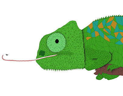 Polygonal Chameleon