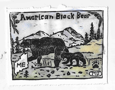 American Black Bear Print