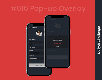 Pop-up Overlay DailyUI Challenge #016