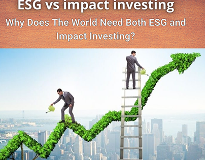 Impact Investment Strategy
