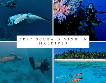 best scuba diving in maldives