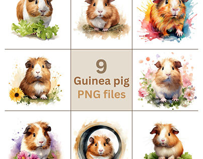 Watercolor Guinea Pig Clipart Bundle