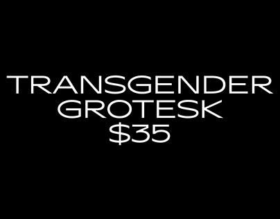 TRANSGENDER GROTESK 2020