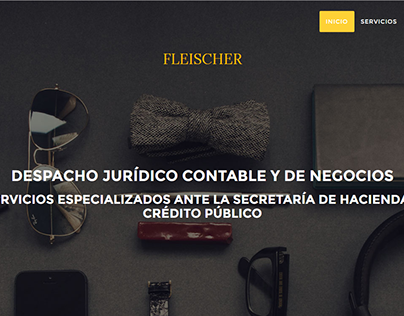 Fleischer Lawyer's Website
www.fleischer.mx