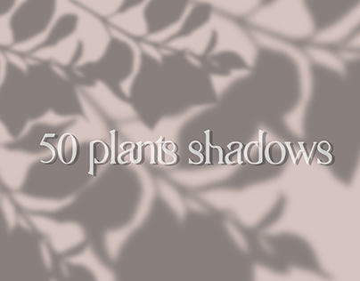 50 plants shadows