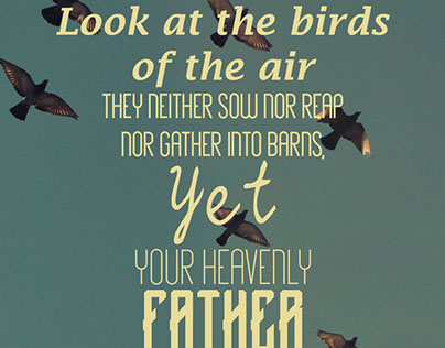 Birds - Matthew 6:26