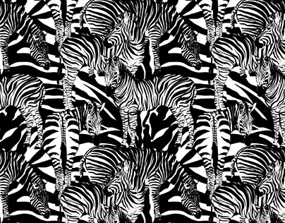 Zebra animals pattern .Zebra stripes background