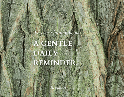 A gentle daily reminder.