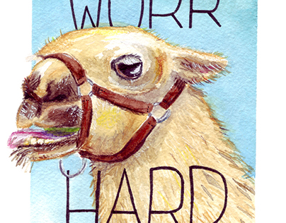Motivational llama