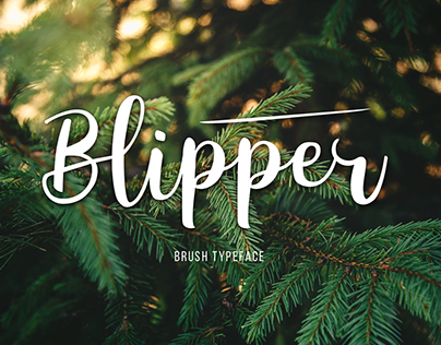 Blipper Font