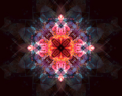 Kaleidoscope Mandala Projects | Photos, videos, logos, illustrations and  branding on Behance