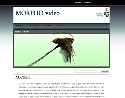 Morpho 3D