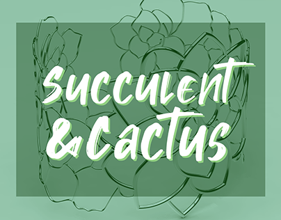 Cactus&Succulent - Jewel Collection