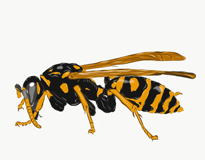 Wasp vector in comic style