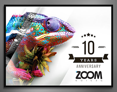10 years Zoom design
