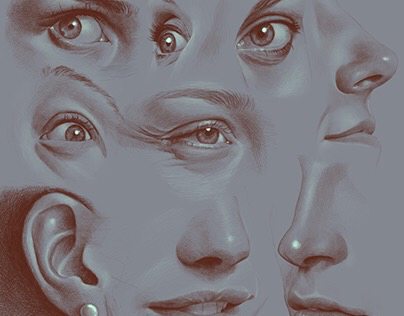 Eyes, ear, noses and mouths study