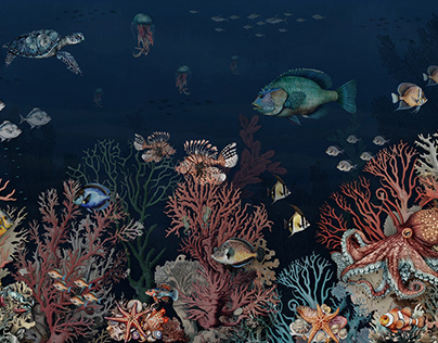 Deep sea wallpaper coral reefs and colorful fish