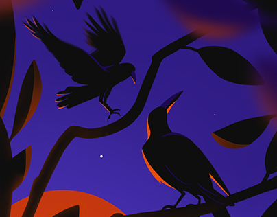 Crows Illustration