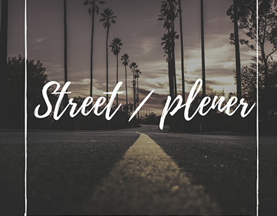STREET / PLENERY