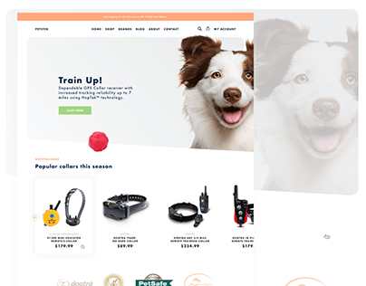 Dog Collar Website Design