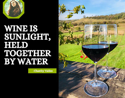 Wine is Sunlight, Held Together By Water