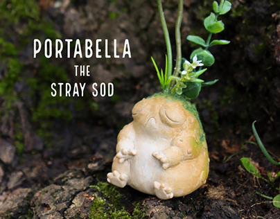 Portabella, the Stray Sod