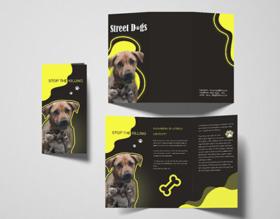 Stray dogs brochure