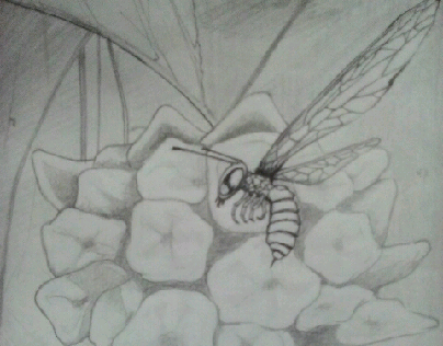 pencil art , wasp