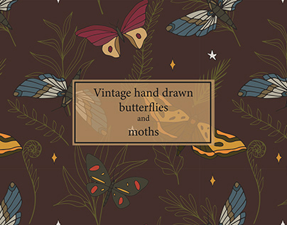 Hand drawn butterflies and moths