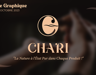 Project thumbnail - Charte graphique "CHARI"