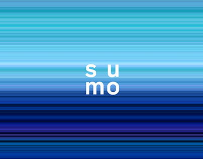 Sumo Logic: Identity and Visual Language