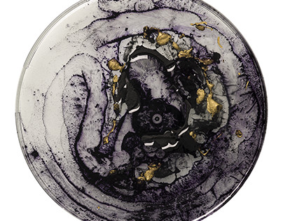 The Petri Dish project / Magellanic Clouds series