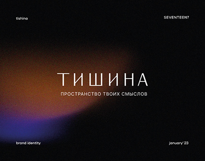Branding | Tishina | 3 concept