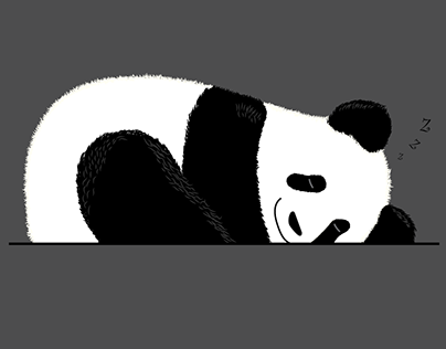 A Panda Sleeps Tonight