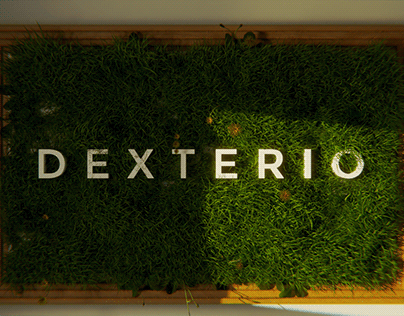 Dexterio-Brand identity