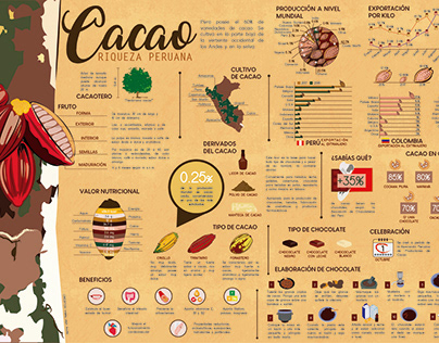 Infografía Cacao